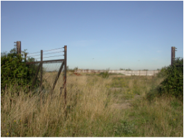 Bronfield Site in Suffolk - development opportunity and ecological habitat
