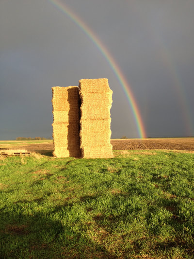 Rainbow and bales in the Fens
