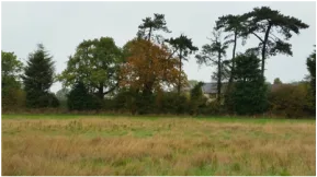 Proposed Development near Wivenhoe, Essex