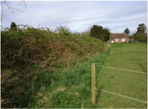 Proposed residential development site in Bunwell, Norfolk