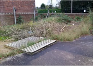 Reptile habitat on brownfield site in Haverhill, Suffolk