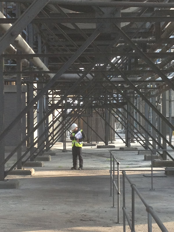 Ecology Survey at Kingsnorth Power Station