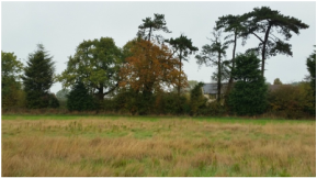 Proposed Development near Wivenhoe, Essex